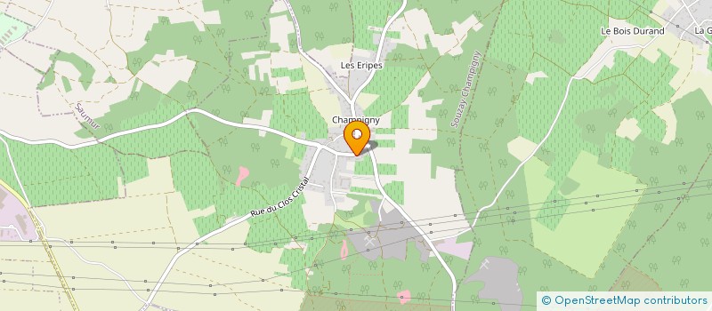 localisation de l'entreprise CHATEAU GAILLARD  SOUZAY-CHAMPIGNY