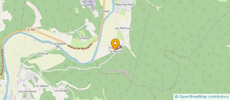 localisation de l'entreprise CHATEAU LA FLEUNIE  CONDAT-SUR-VEZERE