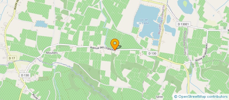 localisation de l'entreprise CHATEAU LA JARRE  MOULIETS-ET-VILLEMARTIN