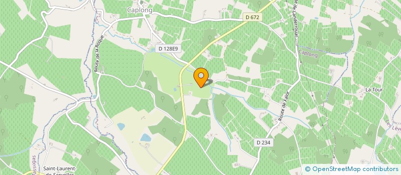 localisation de l'entreprise CHATEAU SAINT GABRIEL  CAPLONG