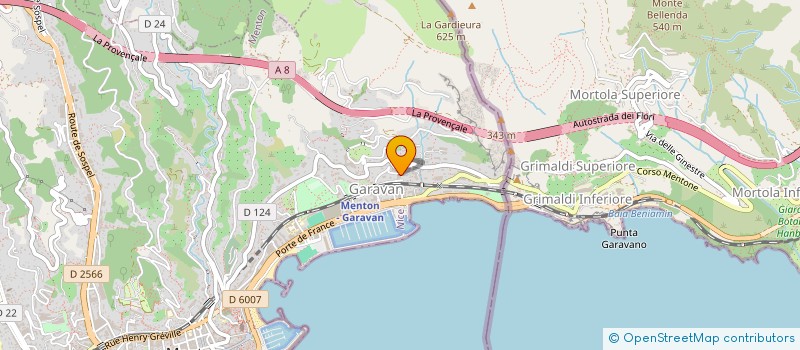 localisation de l'entreprise CHATEAU VALLAYA à MENTON