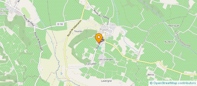 localisation de l'entreprise CHATEAU VIEUX PUJOLS  PUJOLS