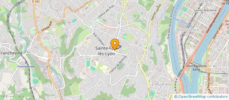 localisation de l'entreprise CHATELAIN MATIN à SAINTE-FOY-LES-LYON