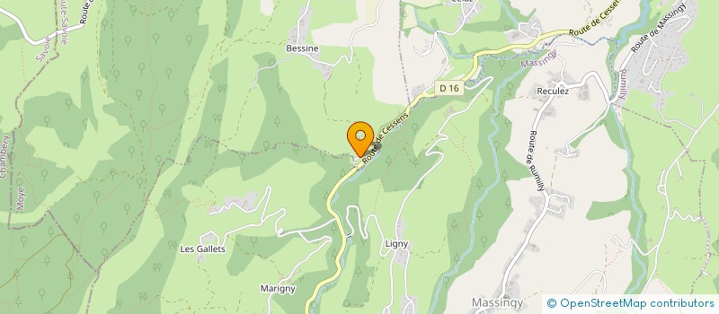 localisation de l'entreprise CHAUFFAGISTE SAVOYARD  MOYE