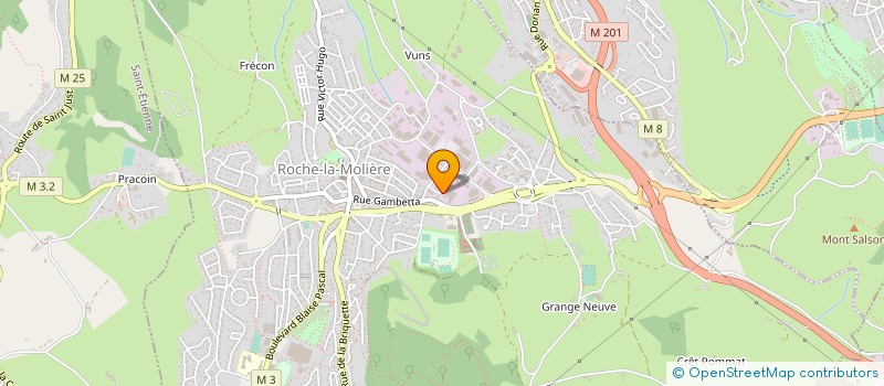 localisation de l'entreprise CHAUSSON - TEC à ROCHE-LA-MOLIERE