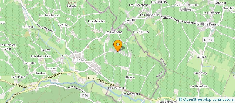 localisation de l'entreprise CHAVAGNAT - LANEYRIE à JULIENAS