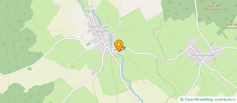 localisation de l'entreprise CHAVOUTEUIL  DAMAS-AUX-BOIS