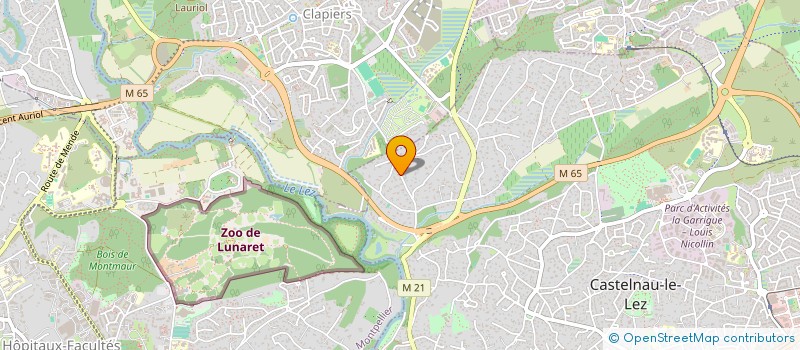 localisation de l'entreprise CHAYRIGUESOVA  CASTELNAU-LE-LEZ