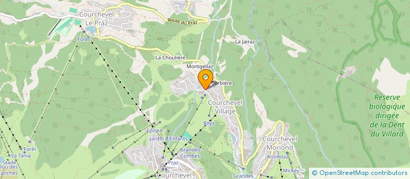 localisation de l'entreprise CHEDAL-ANGLAY à COURCHEVEL