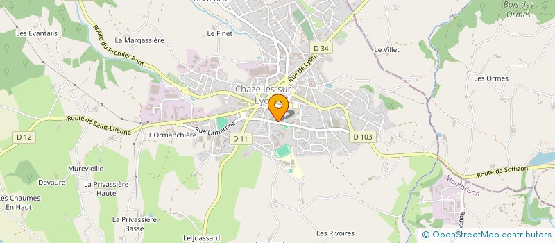localisation de l'entreprise CHEMIN INTERIEUR  CHAZELLES SUR LYON