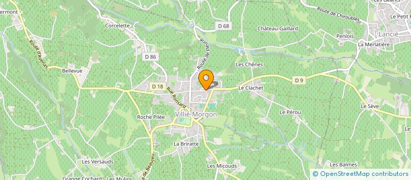 localisation de l'entreprise CHEMIN SJ  VILLIE-MORGON