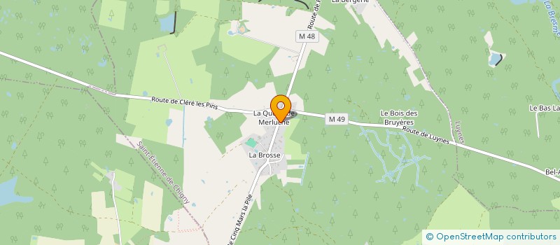 localisation de l'entreprise CHEMINEE DESIGN PARIS  SAINT-ETIENNE-DE-CHIGNY