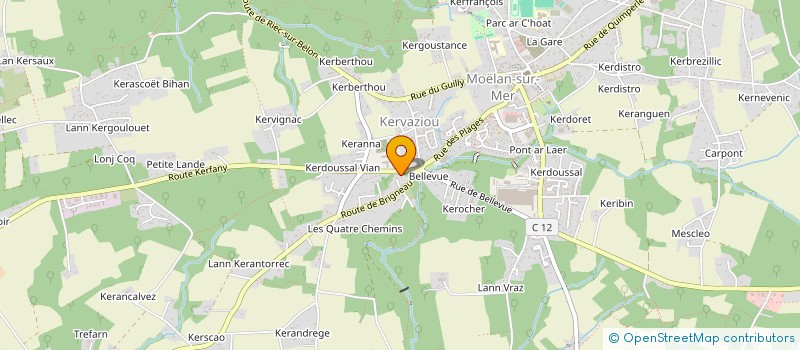 localisation de l'entreprise CHEMINEES OCEANES  MOELAN-SUR-MER