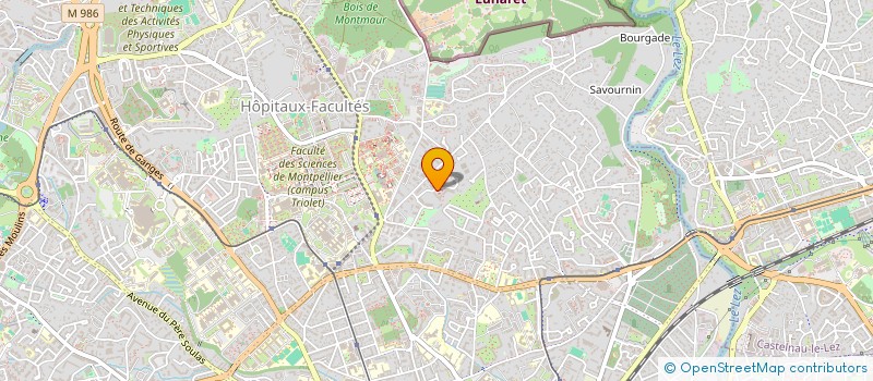 localisation de l'entreprise CHEMINS DU TEMPS à MONTPELLIER