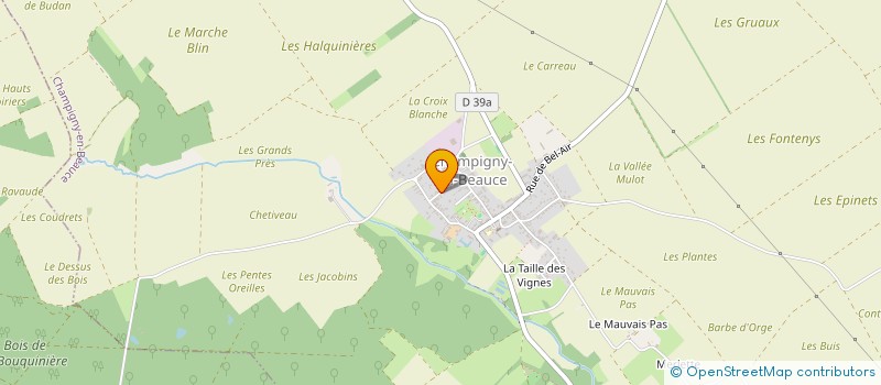 localisation de l'entreprise CHEVALLIER REAL ESTATE  CHAMPIGNY-EN-BEAUCE