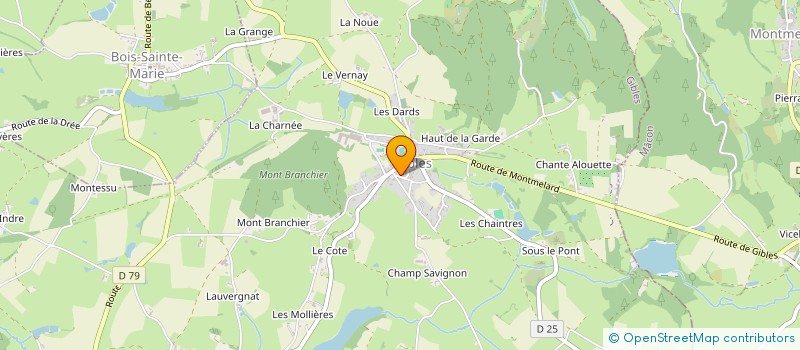 localisation de l'entreprise CHEZ COCOTTE  GIBLES