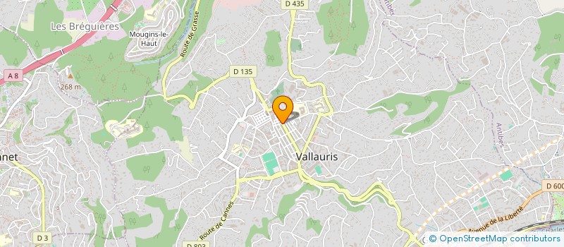 localisation de l'entreprise CHEZ ELISABETH à VALLAURIS