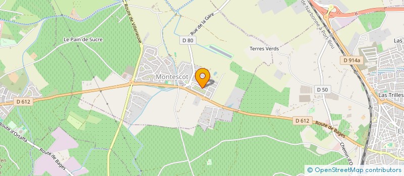 localisation de l'entreprise CHEZ FIFOU  MONTESCOT