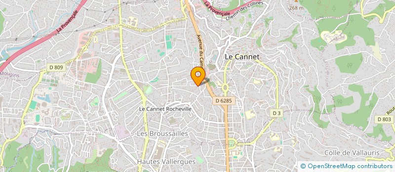 localisation de l'entreprise CHEZ GAELLE ET ROMAIN à LE CANNET