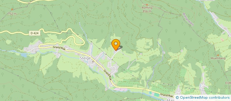 localisation de l'entreprise CHEZ GUTH HOLDING  STEIGE