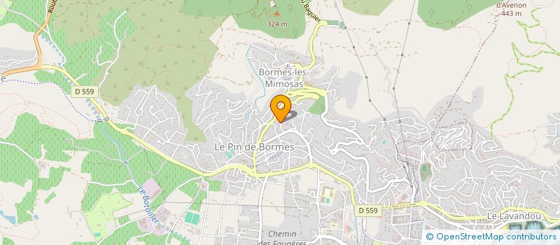 localisation de l'entreprise CHEZ KIKI à BORMES-LES-MIMOSAS
