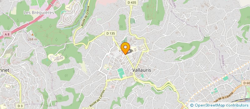 localisation de l'entreprise CHEZ NONAS à VALLAURIS