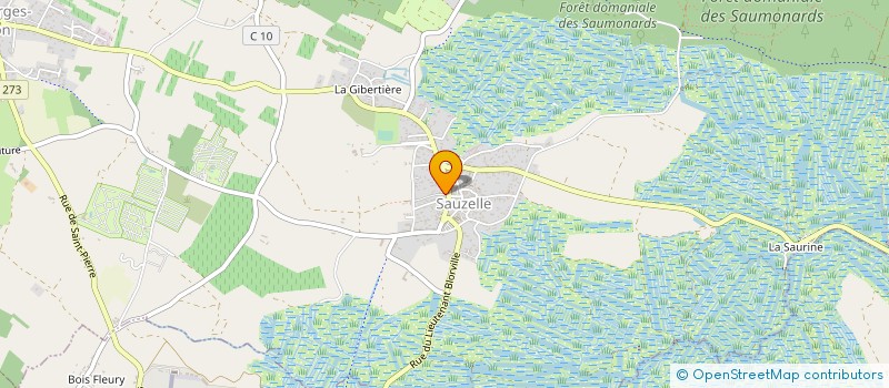 localisation de l'entreprise CHEZ PATOCHE à SAINT GEORGES D'OLERON