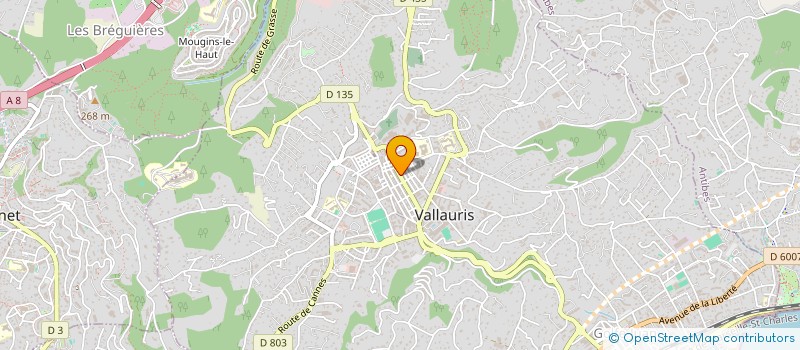 localisation de l'entreprise CHEZ RICCI à VALLAURIS
