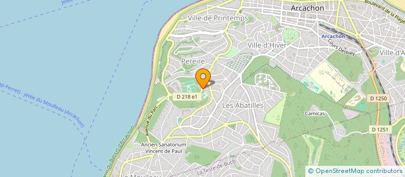 localisation de l'entreprise CHEZ TONY à ARCACHON