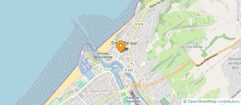 localisation de l'entreprise CHEZ WILLY à TROUVILLE-SUR-MER