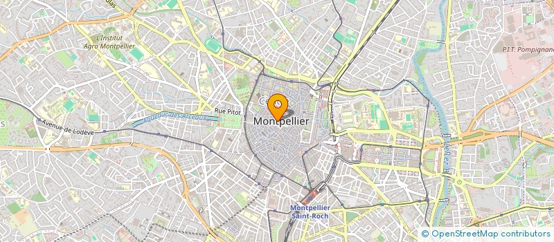 localisation de l'entreprise CHICHOIS SARL à MONTPELLIER