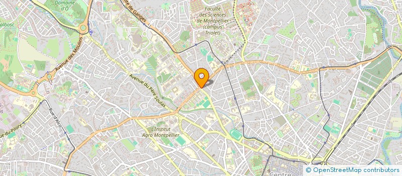 localisation de l'entreprise CHICKEN DRIVE MONTPELLIER à MONTPELLIER