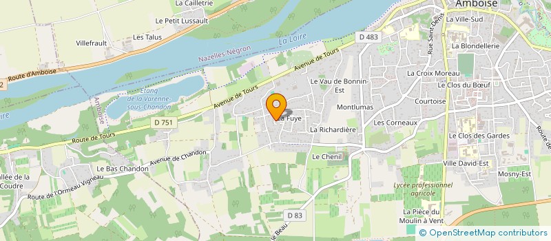 localisation de l'entreprise CHIENG SMM  AMBOISE