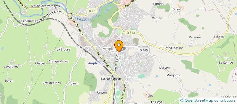 localisation de l'entreprise CHIENS EN BEAU T  AMPLEPUIS