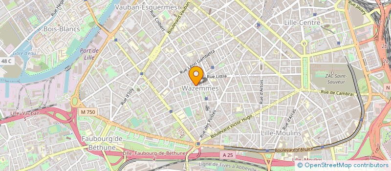 localisation de l'entreprise CHIN'ALIMENTS à LILLE