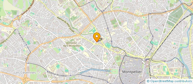 localisation de l'entreprise CHINH THUY à MONTPELLIER