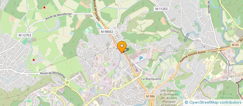 localisation de l'entreprise CHLOROPHYLLE EURL à MONTPELLIER