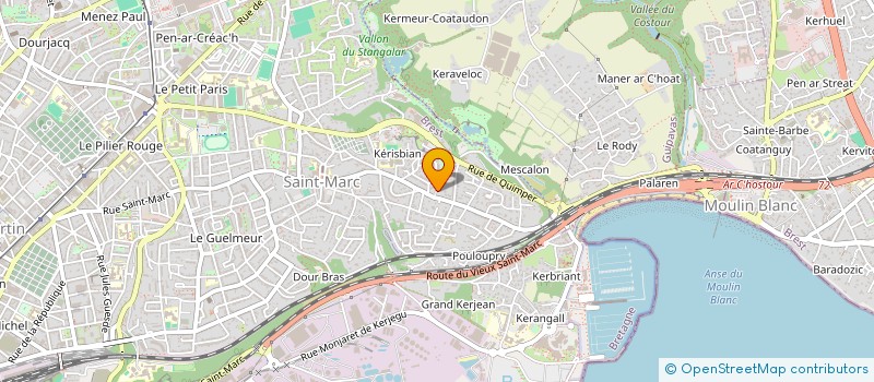 localisation de l'entreprise CHOEUR VIESNA à BREST