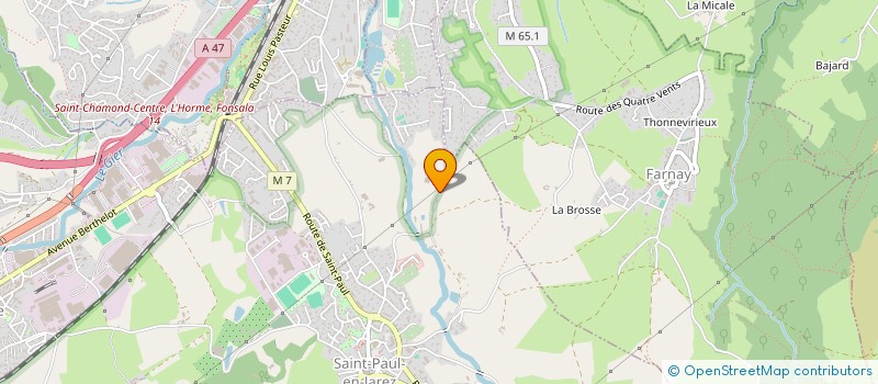 localisation de l'entreprise CHOMIENNE EMILIE  SAINT-PAUL-EN-JAREZ