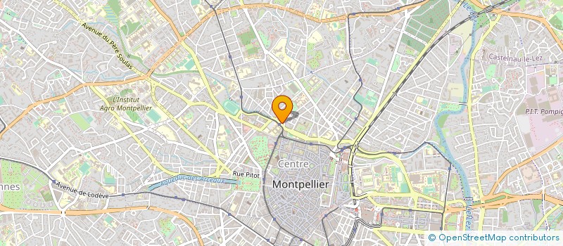 localisation de l'entreprise CHOPPY RIDE à MONTPELLIER