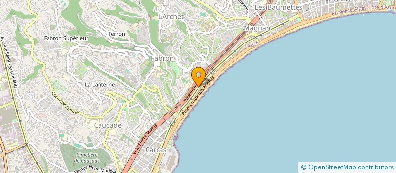localisation de l'entreprise CHORALE BRANCHE D OR NICE COTE D AZUR à NICE