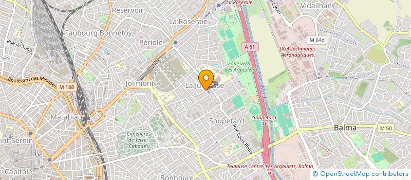 localisation de l'entreprise CHORALE DES AINES LA JOIE DE VIVRE à TOULOUSE