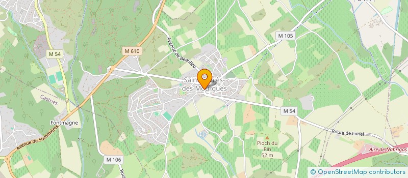 localisation de l'entreprise CHORALE LOUS CANTAIRES  SAINT-GENIES-DES-MOURGUES