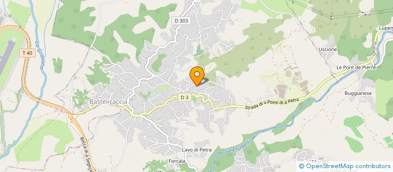 localisation de l'entreprise CHORI CORDIS  BASTELICACCIA