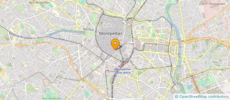 localisation de l'entreprise CHOUCHOU à MONTPELLIER