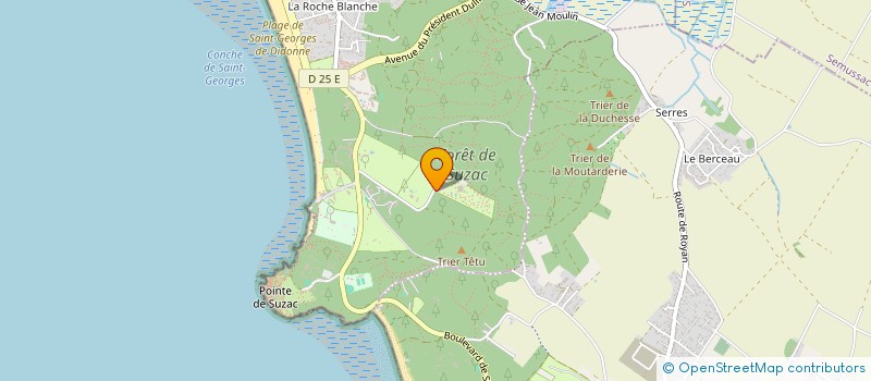 localisation de l'entreprise CHRIS 1960  SAINT-GEORGES-DE-DIDONNE