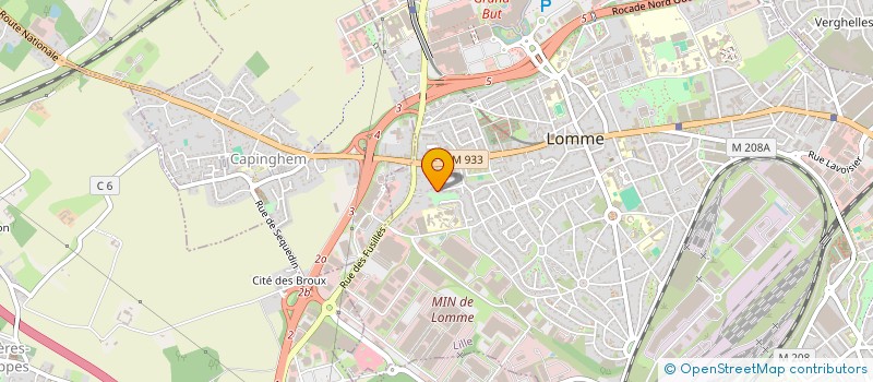 localisation de l'entreprise CHRISTINE ALICE BUENO ART FOUNDATION  LILLE