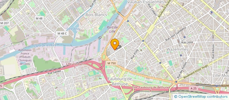 localisation de l'entreprise CHRISTINE PAUL CONSULTING à LILLE