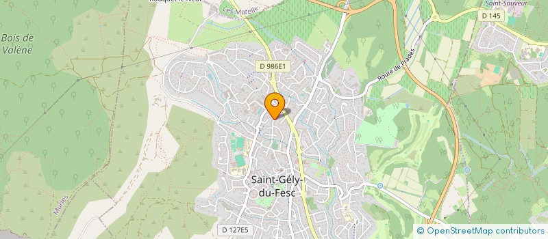 localisation de l'entreprise CHRISTO  SAINT-GELY-DU-FESC