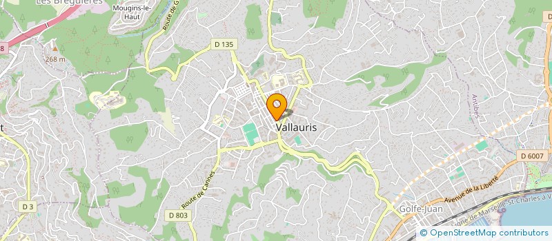 localisation de l'entreprise CHRISTOPHE GUERY  VALLAURIS